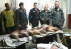 Vendor arrested for trading porcupines 