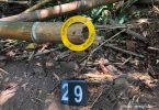 Additional forensic evidence on Thung Yai hunting case to go to the police on Monday