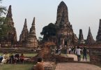 Dogs and cats are not allowed in Ayutthaya historical park