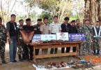 Wildlife carcasses seized at a border market near Laos