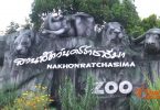 Korat zoo confirms no bird flu incidence and no cover-up at the zoo