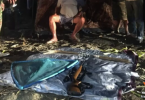National park deputy chief says Premchai won’t get loose of panther poaching