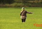 Farming sector to be hard hit by minimum wage hike to be in force April 1 
