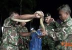 Two arrested for trading protected snakes and water monitors 