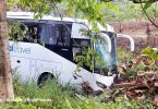Three Russian tourists injured in bus crash in Krabi