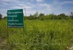 NLA’s scrutiny committee mulls postponing new land tax bill until year 2020