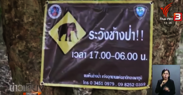 “Disaster zone” proposed for areas attacked by wild elephants