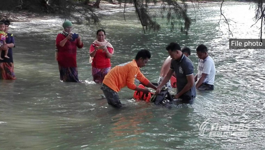 Two beached bottlenose dolphins rescued