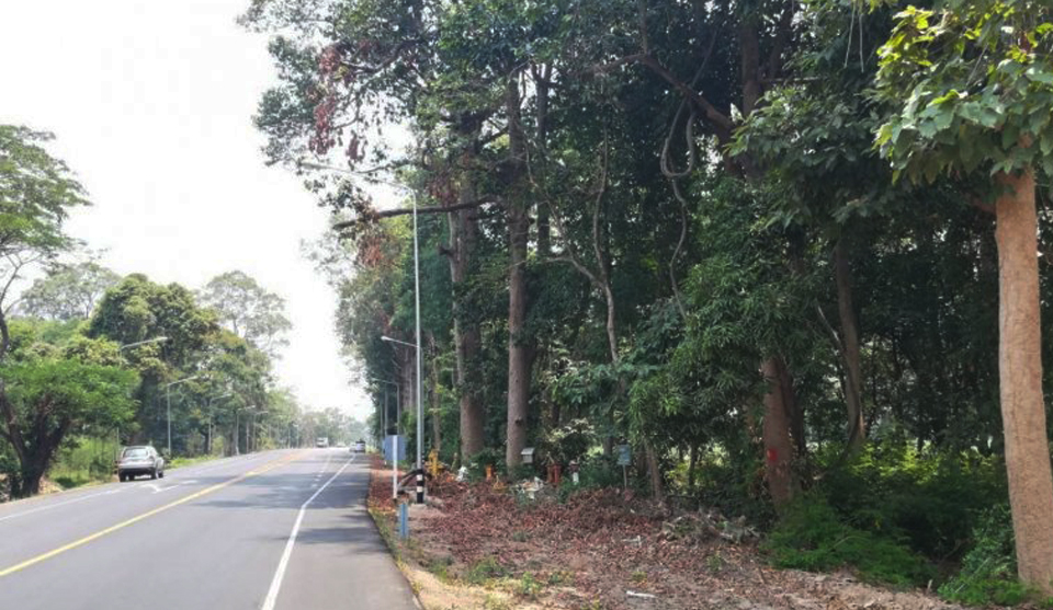 Forest department says cutting of trees along highways need public consent
