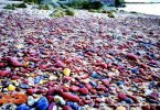 “Five Coloured” stone beach : The Wonder of Petra Island