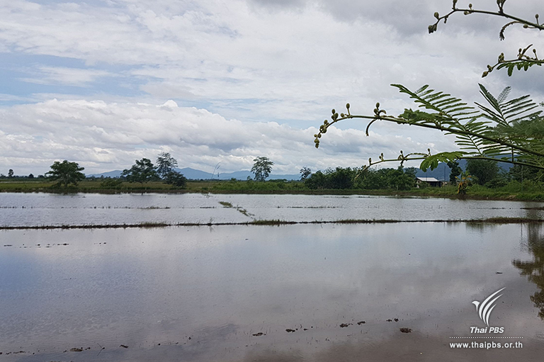 Farmers affected by flood waters from Tham Luang to get compensation
