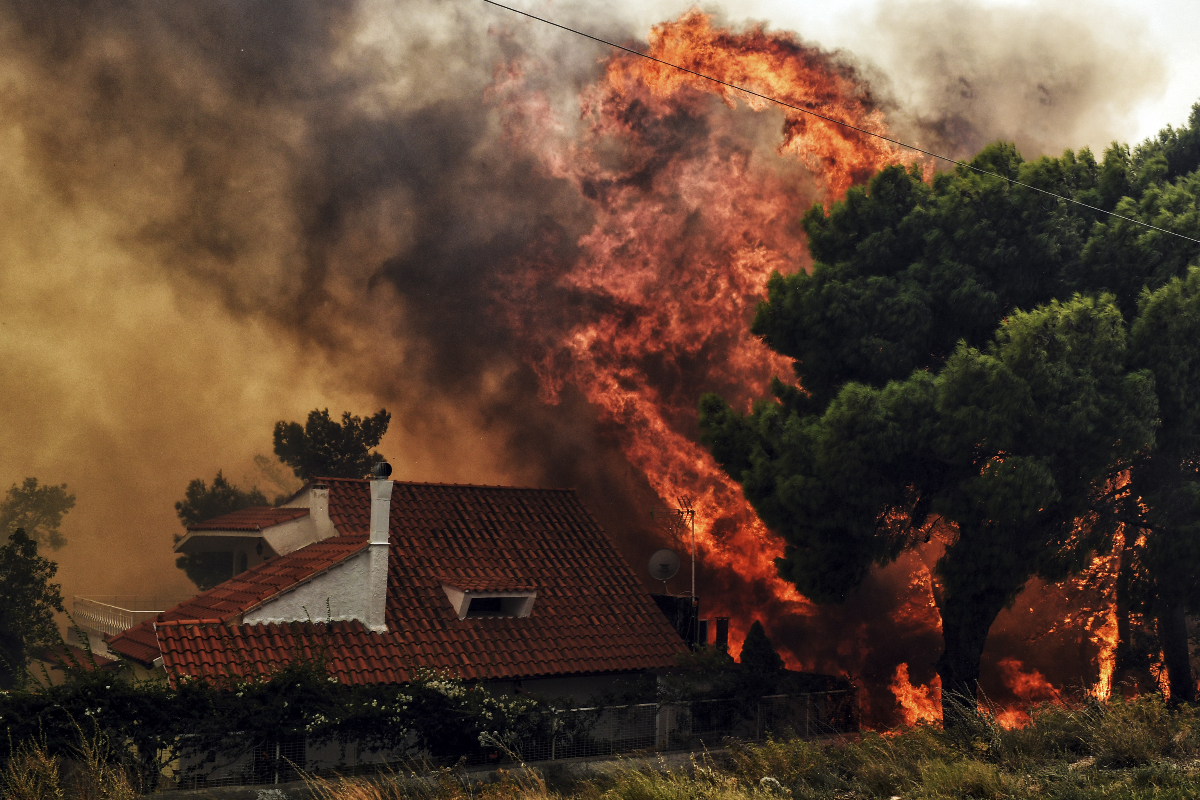 50 Die in Greece’s worst wildfires in decade