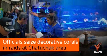 Officials seize decorative corals in raids at Chatuchak area