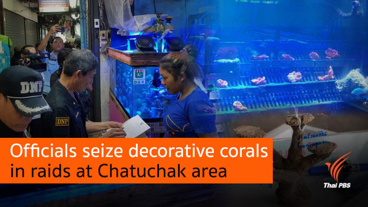 Officials seize decorative corals in raids at Chatuchak area