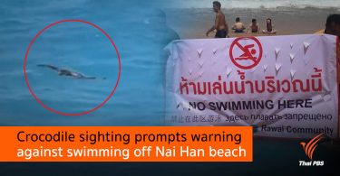 Crocodile sighting prompts warning against swimming off Nai Han beach