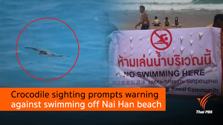 Crocodile sighting prompts warning against swimming off Nai Han beach