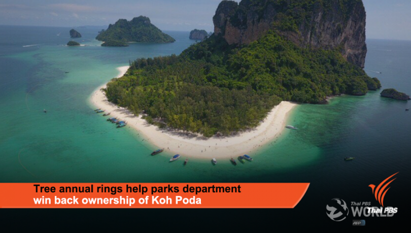Tree annual rings help parks department win back ownership of Koh Poda |