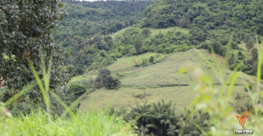 Anti-graft officials probe illegal massive land grab in Loei prvince |