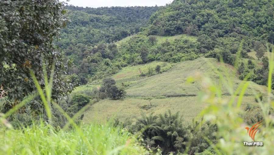 Anti-graft officials probe illegal massive land grab in Loei prvince |