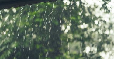 31 provinces warned of heavy and very heavy rains in coming week |