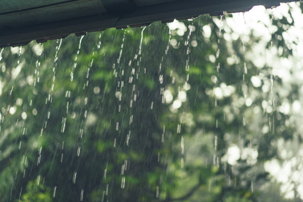 31 provinces warned of heavy and very heavy rains in coming week |