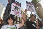 Thailand to Allow Medical Marijuana, a First in Southeast Asia