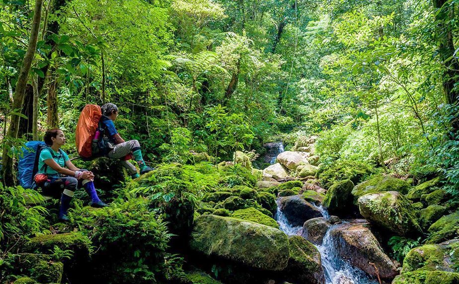 Top 5 National Parks that you must explore when in Thailand