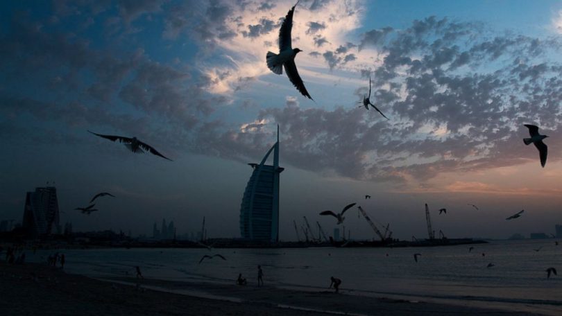 Travel hub UAE to halt flights as virus reaches Gaza, Syria