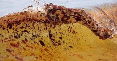 Coronavirus rekindles oil spill memories along Gulf Coast