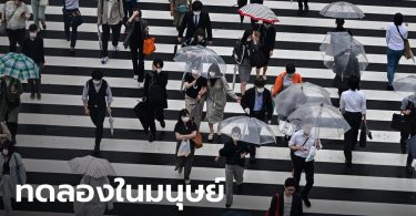 บริษัทญี่ปุ่นได้ไฟเขียว เตรียมทดลองวัคซีนโควิด-19 ในมนุษย์ เป็นครั้งแรก