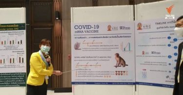 Immune response to candidate coronavirus vaccine in monkeys satisfactory  – Thai PBS World