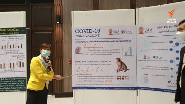 Immune response to candidate coronavirus vaccine in monkeys satisfactory  – Thai PBS World