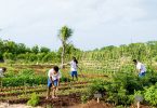 10 voluntourism holidays that will actually make a difference