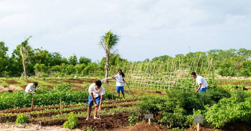 10 voluntourism holidays that will actually make a difference