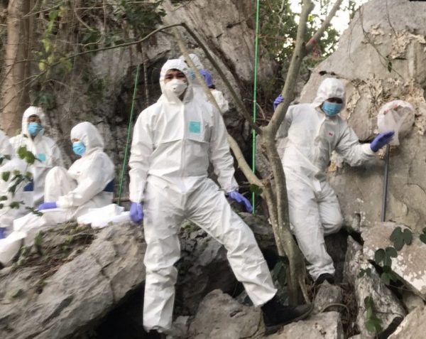 Hunt for crowned bats in Thailand to discover if they carry COVID-19 virus – Thai PBS World