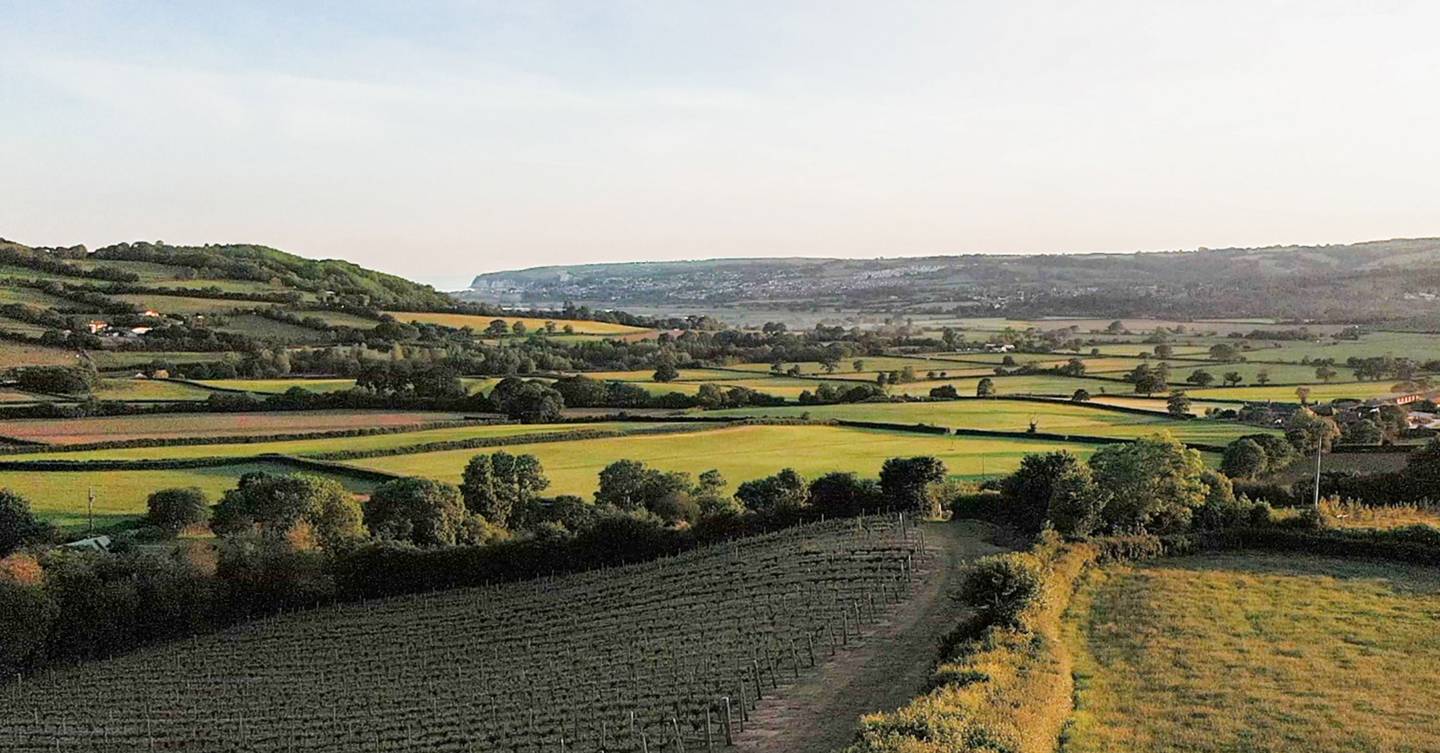 The best vineyards in England and Wales