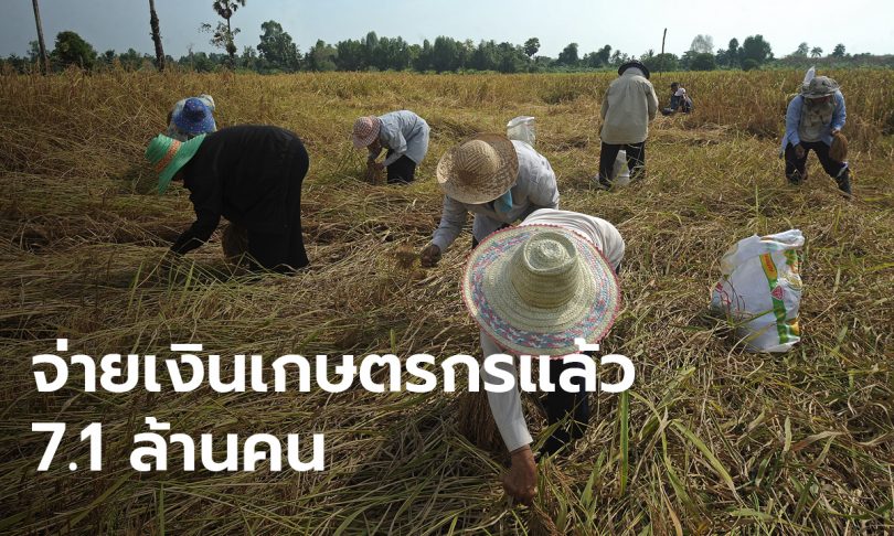 เกษตรกรกว่า 2 แสนราย ยังไม่ได้เงินเยียวยา 5,000 บาท พบปัญหาบัญชีไม่ถูกต้อง