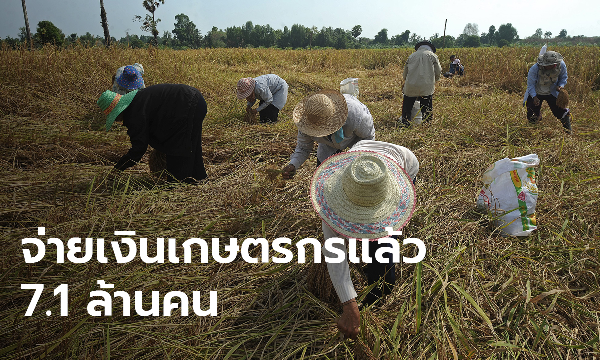 เกษตรกรกว่า 2 แสนราย ยังไม่ได้เงินเยียวยา 5,000 บาท พบปัญหาบัญชีไม่ถูกต้อง