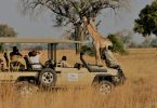 The best locally-owned safari camps in Africa
