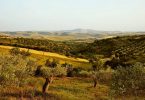 Why Sardinia has the best food in the Mediterranean