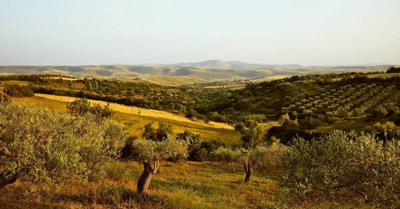 Why Sardinia has the best food in the Mediterranean