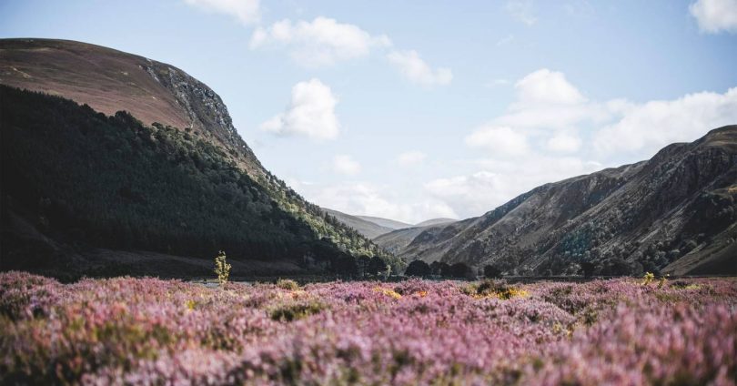 10 stays in the UK that contribute to conservation projects