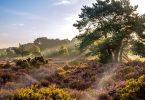 How to holiday locally this summer