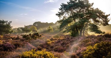 How to holiday locally this summer