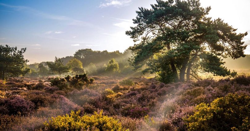How to holiday locally this summer