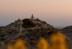 The latest cycling trend is the rise of nature bike rides