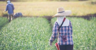 Thailand’s Hazardous Substances Committee upholds ban on farm chemicals