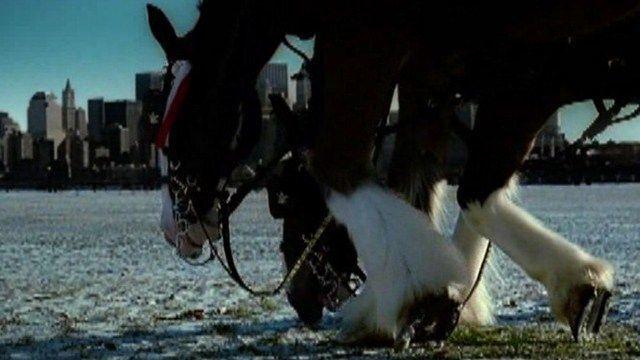 Remembering the symbolic Budweiser commercial that only aired once in memory of 9/11 | Las Vegas Local Breaking News, Headlines