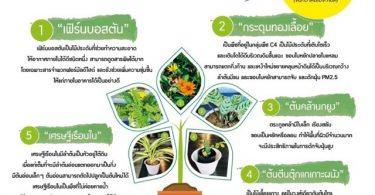 บีทีเอสดูแลโลก เราดูแลคุณ” ชวนปลูกต้นไม้ ลดมลพิษ PM2.5 เพื่อเพิ่มออกซิเจน ให้โลกเราน่าอยู่มากยิ่งขึ้น🍃🌿