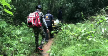 Hornbill expert gored by wild guar in Khao Yai national park – Thai PBS World